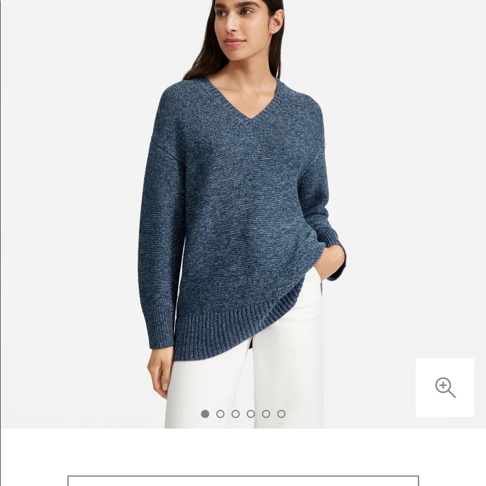 Everlane Link Stitch V Neck Sweater
